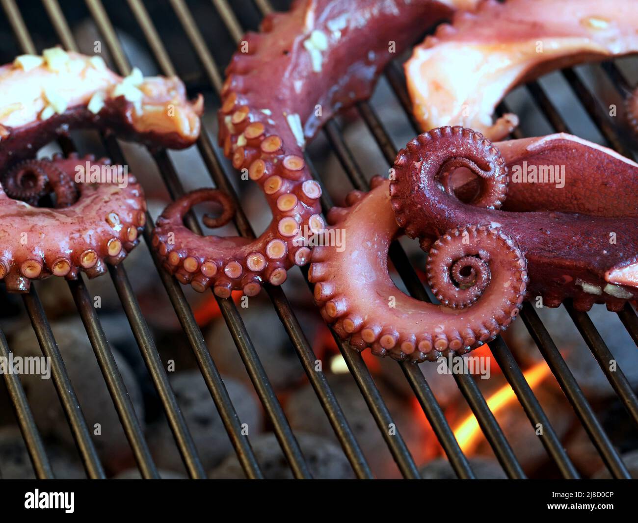 octopus Tentakeln auf dem Grill rosten über glühenden Kohlen auf dem Grill, Nahaufnahme Stockfoto