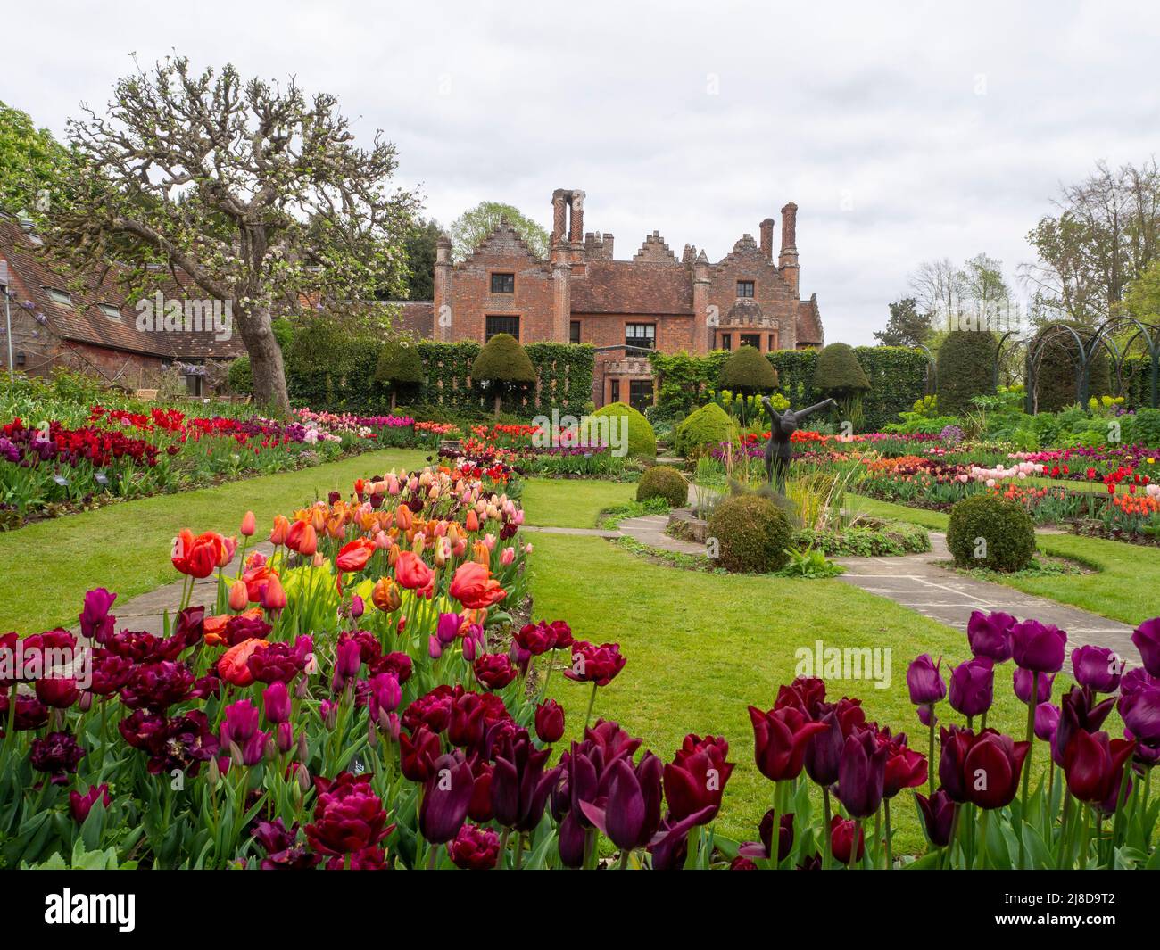 Chenies Manor Garden.Blick auf das Tudor Manor aus dem schönen versunkenen Garten mit vielen Tulpenarten in Blüte.. Stockfoto