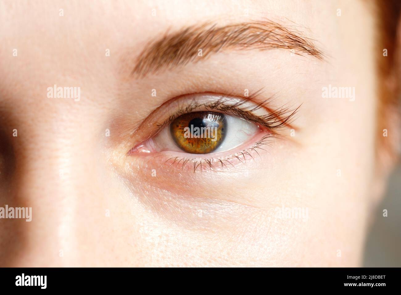 Nahaufnahme des weiblichen Auges. Braune Augen. Stockfoto