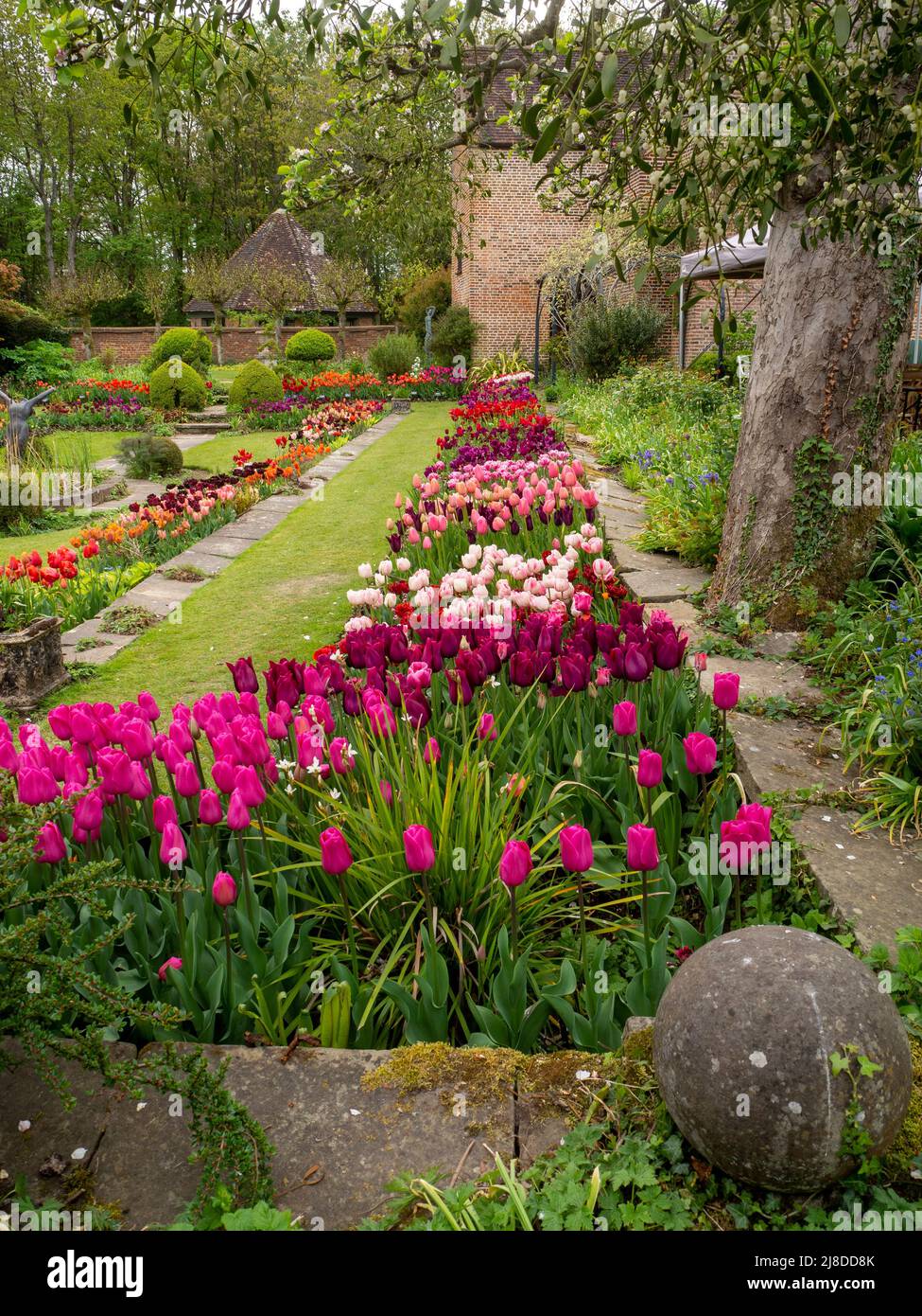 Chenies Manor Garden.Portrait Ansicht von versunkenen Garten mit Tulpen Sorten in rosa, lila, rot; orange; die Tudor Brunnen Haus und Pavillon Mauerwerk.. Stockfoto