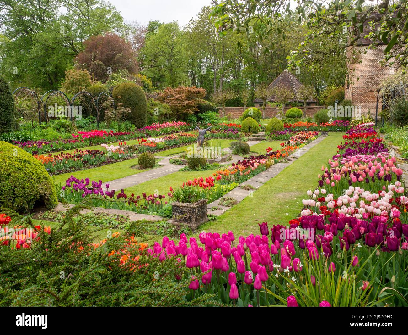 Atemberaubendes Chenies Manor versunkener Garten in all seiner Frühlingsprachlichkeit; viele farbenfrohe Tulpen. „Lachs Prince“, „Merlot, Curly Se“, „Dior“, Tulip „Backpacker“. Stockfoto