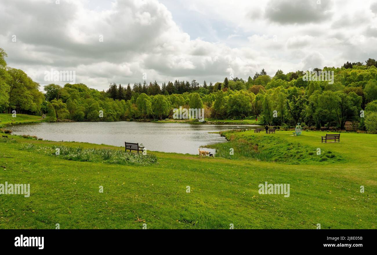 Callendar House Park and Gardens, Falkirk, Schottland, Großbritannien Stockfoto