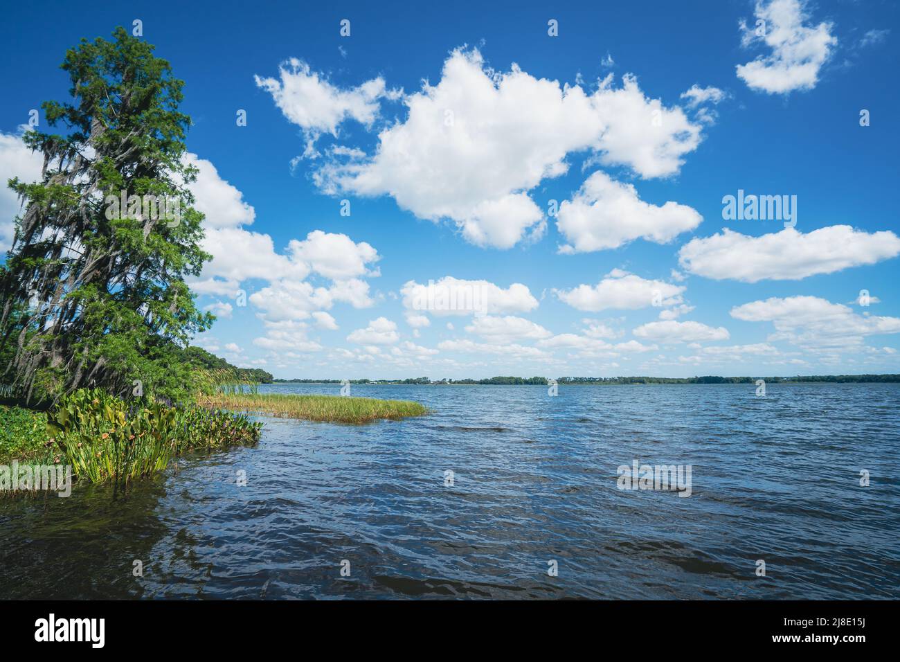 Lake Beauclair am Trimble Park ein Park am See mit Camping in Mount Dora, Florida Stockfoto