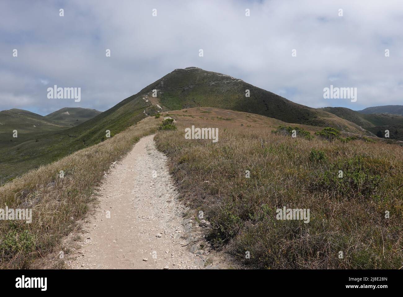 Wanderweg auf den Gipfel von Valencia, der 1347 m von der Küste des San Luis Obispo County im montana de oro State Park, Kalifornien, USA, entfernt ist Stockfoto