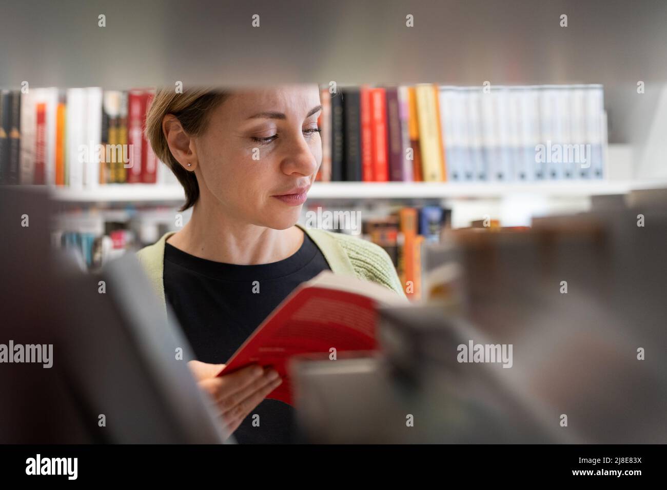 Reife Studentin, die im Bücherregal der Bibliothek nach Büchern sucht, die auf dem Universitätscampus oder College studieren Stockfoto