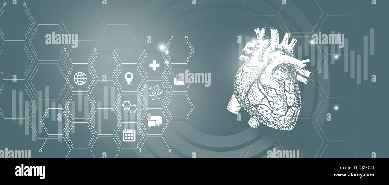 Erforschung und Genesung von Herzerkrankungen an menschlichen inneren Organen. Graue Vorlagenpalette, Kopierbereich für Text. Stockfoto