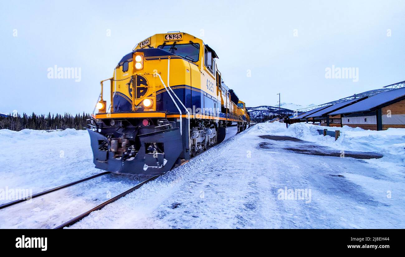 Der Zug der Alaska Railroad hält am Denali National Park in Alaska. Stockfoto