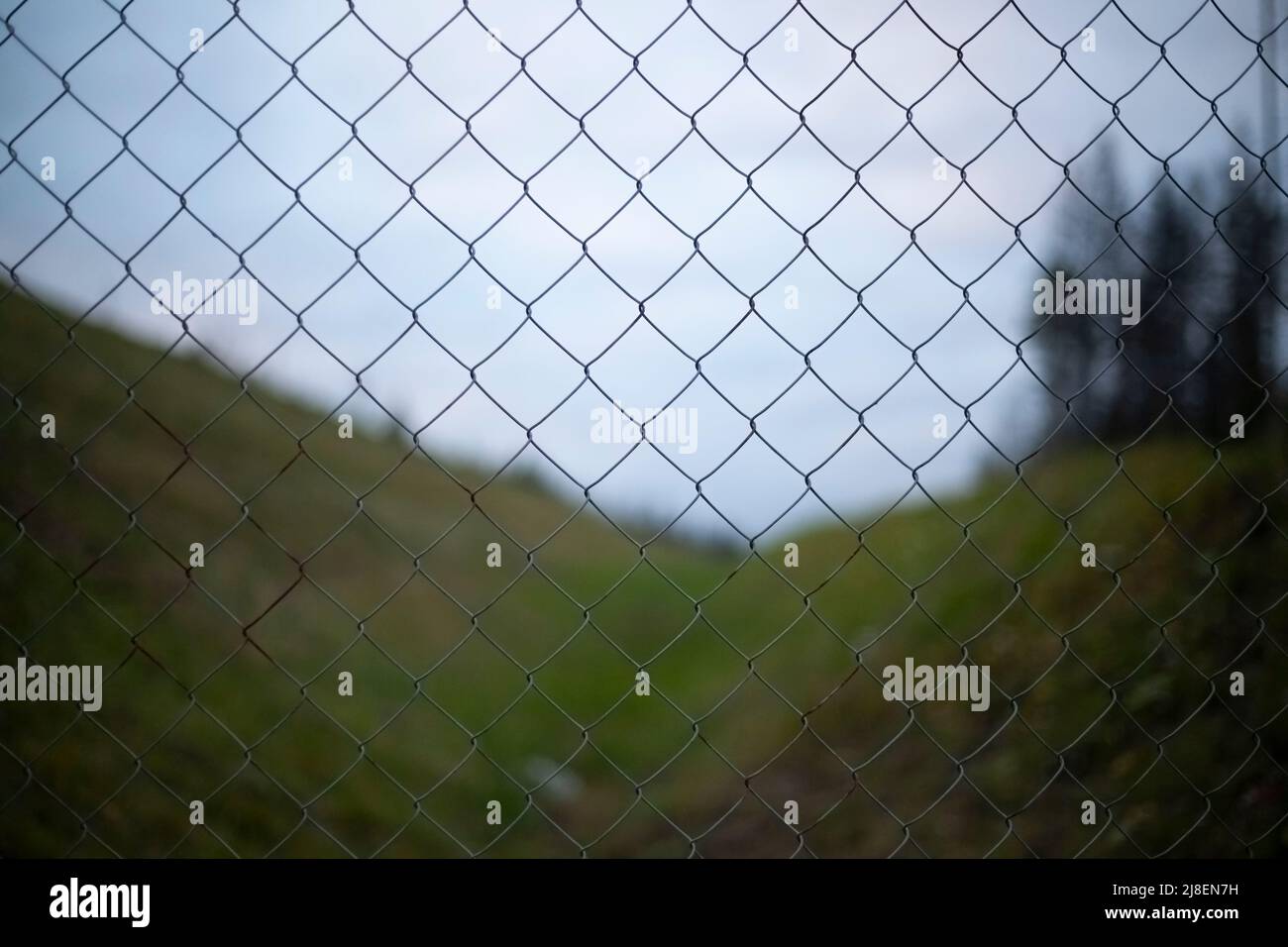 Zaunnetz. Stahlgeflecht im Hintergrund der Landschaft. Wiederholendes Element. Struktur des Zauns aus Stahldraht. Stockfoto