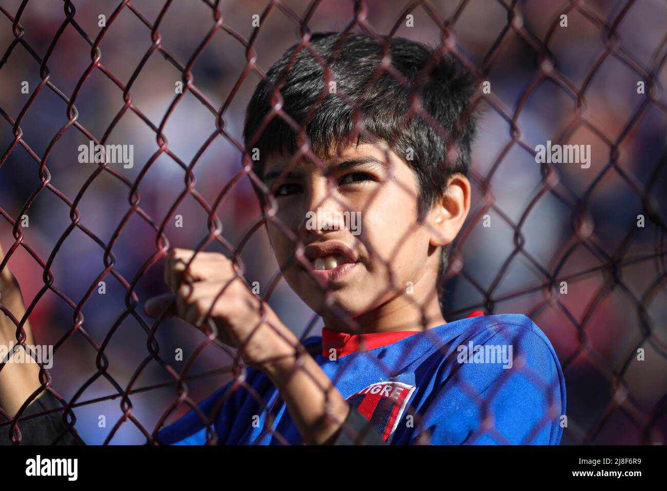 Buenos Aires, Argentinien. 15.. Mai 2022. Ein Fan von Tigre wurde während eines Spiels zwischen Tigre und den argentinischen Junioren im Rahmen der Semifinales de la Copa de la Liga 2022 im Estadio Tomas Adolfo Duco gesehen. Endergebnis: Tigre 3:1 Argentinos Juniors (Foto von Roberto Tuero/SOPA Images/Sipa USA) Quelle: SIPA USA/Alamy Live News Stockfoto