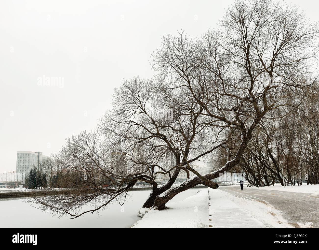 Winterlandschaft in der Stadt Minsk, schneebedeckte Bäume, Häuser und Flussufer Stockfoto
