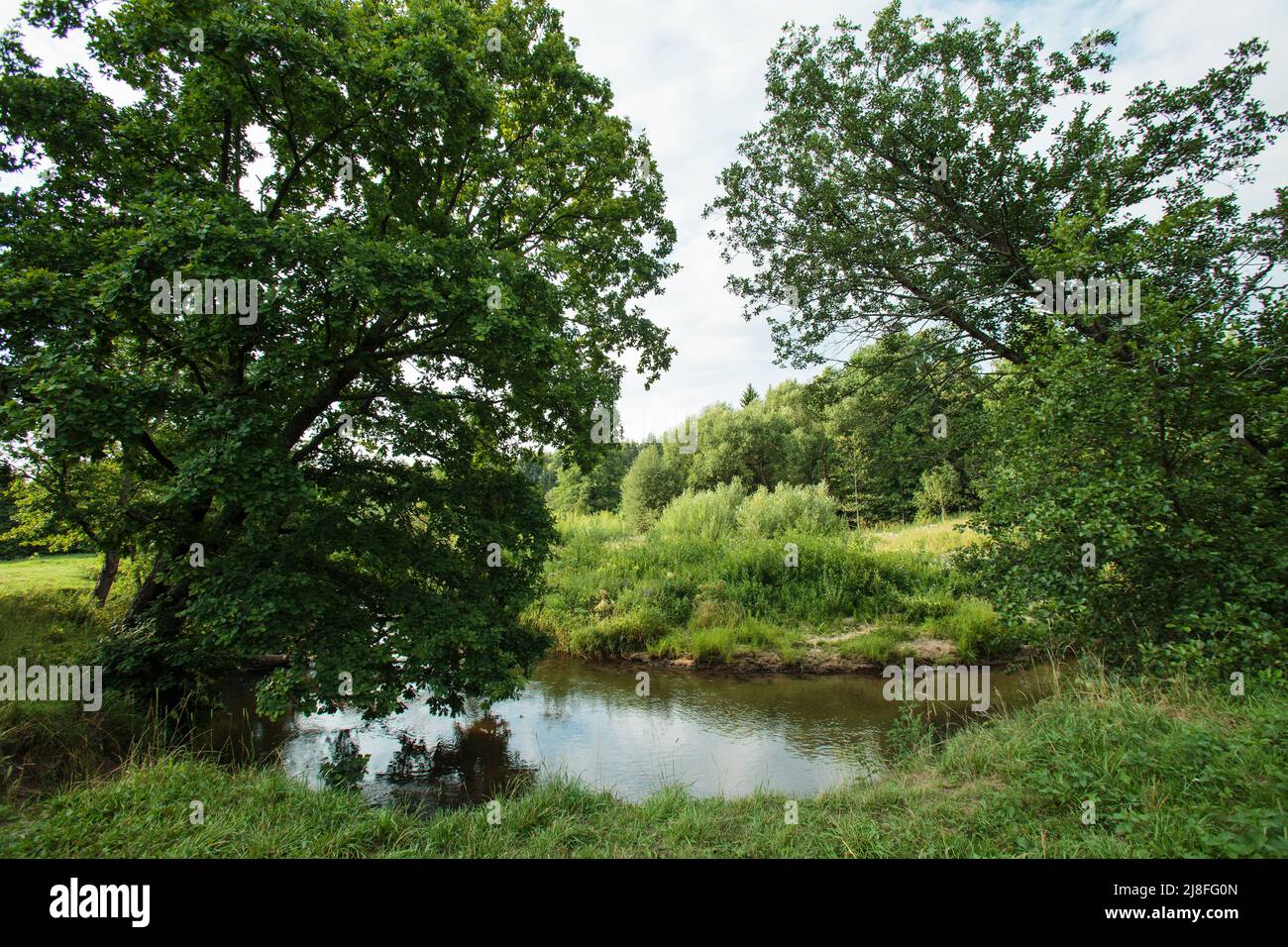 Die Natur Weißrussland, die Sommerlandschaft mit dem kleinen Waldfluss Isloch Stockfoto
