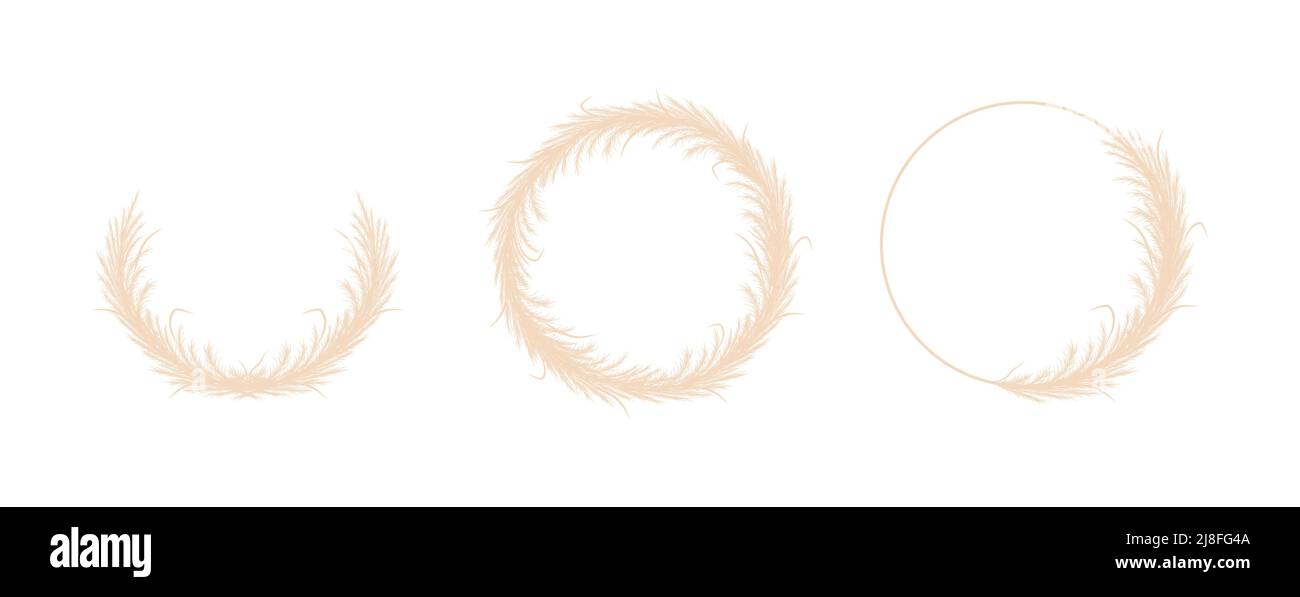 Runde Rahmen mit trockenem Pampagras. Kranz aus beigem cortaderia im Boho-Stil. Vektor getrocknete Blumen isoliert auf weißem Hintergrund. Modisches Element-Design Stock Vektor