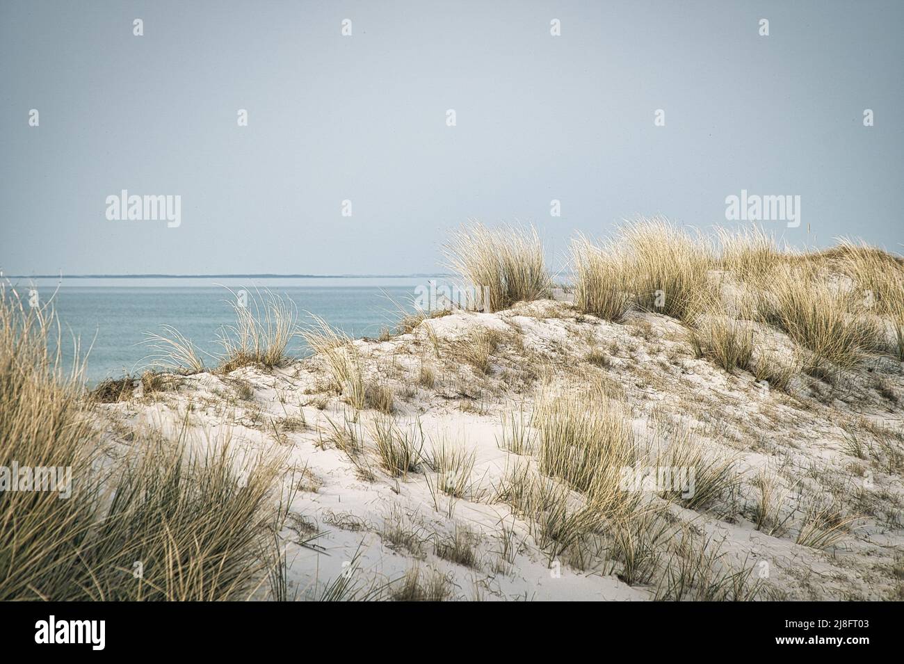 Hohe Düne auf dem darss. Aussichtspunkt im Nationalpark. Strand, Ostsee, Himmel und Meer. Natur in Deutschland aufgenommen Stockfoto