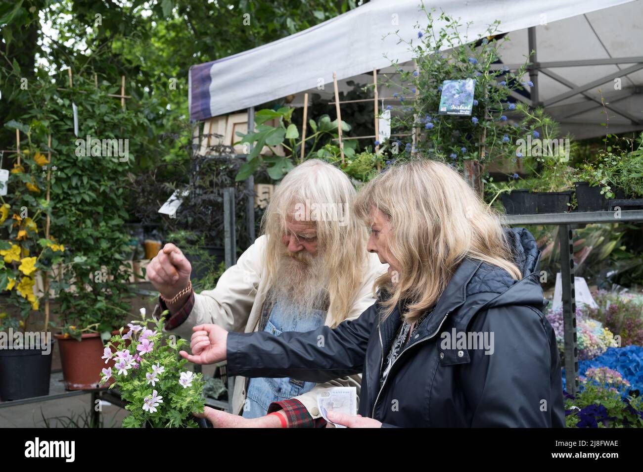 Frau und Markthändlerin im Gespräch über eine Topfpflanze auf dem Blumenmarkt der Columbia Road. London E2, England, Großbritannien Stockfoto