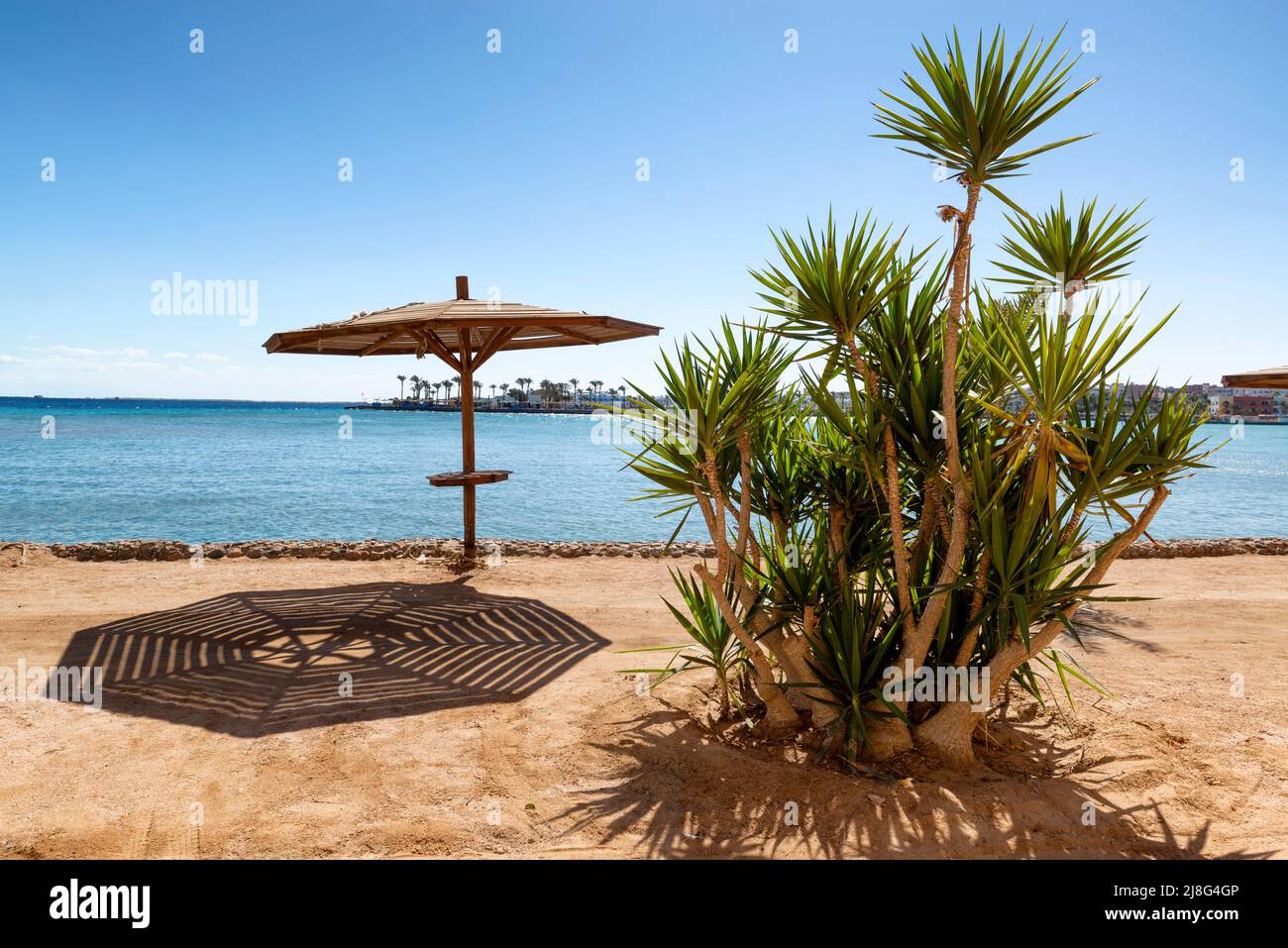 Sommerurlaub am Roten Meer. Strand, Palmen, Sand, schattiger Platz unter einem Sonnenschirm. Stockfoto