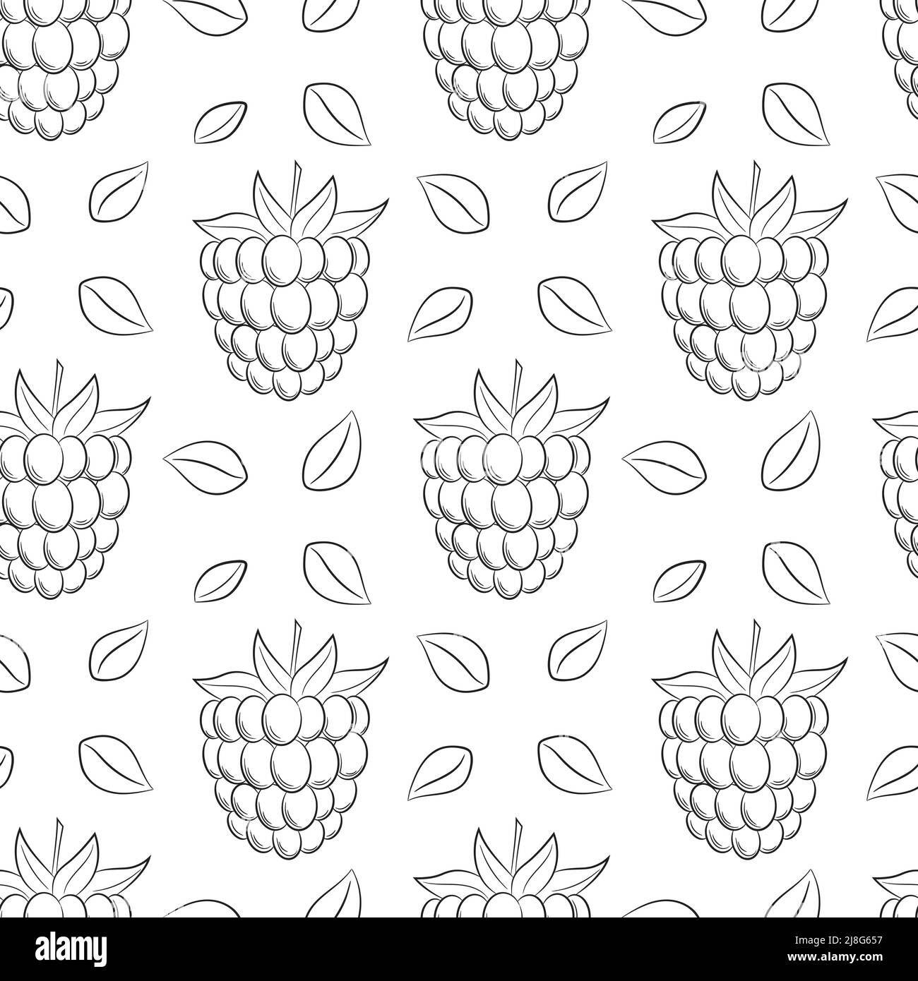 Einfarbiger schwarz-weißer Fruchtansatz mit nahtlosem Muster. Handgezeichnete Himbeeren, Brombeeren. Einfache Umrisshintergrund für Webdesign, Produktverpackung, napk Stock Vektor