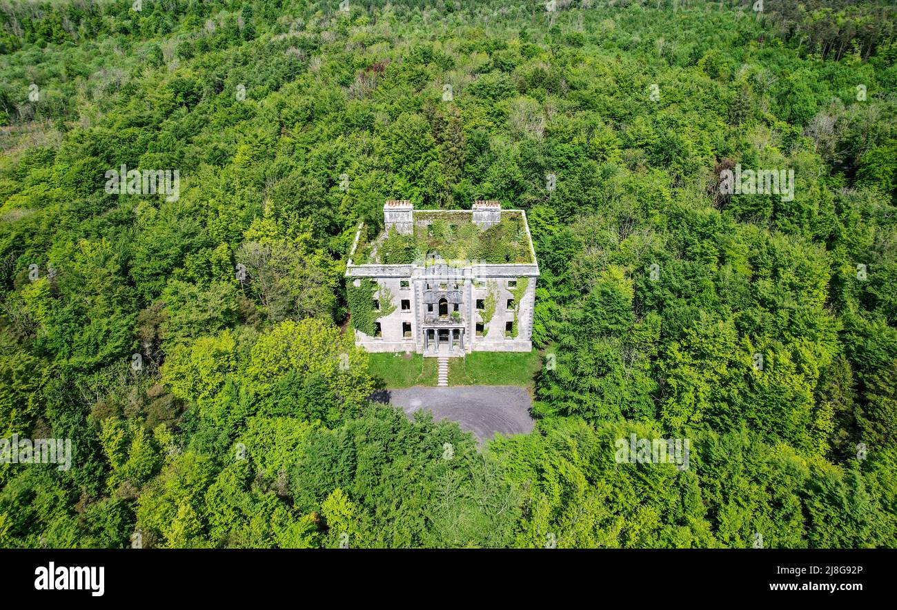 Moore Hall ist ein großes Ruinenhaus mit Efeu und ist von einem Wald umgeben. Es befindet sich in der Grafschaft Mayo Irland und ist jetzt ein öffentlicher Bereich Stockfoto