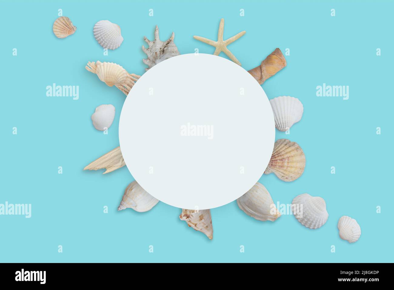 Weißes, rundes Papier, umgeben von Muscheln. Sommer Reise Hintergrund Stockfoto