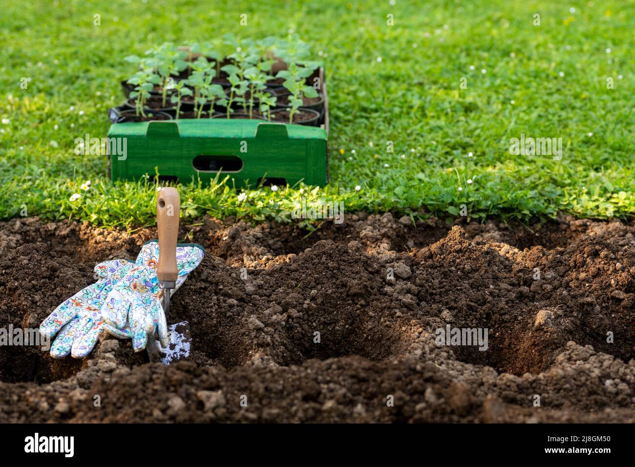 Löcher im garten graben Fotos und Bildmaterial in hoher Auflösung Alamy