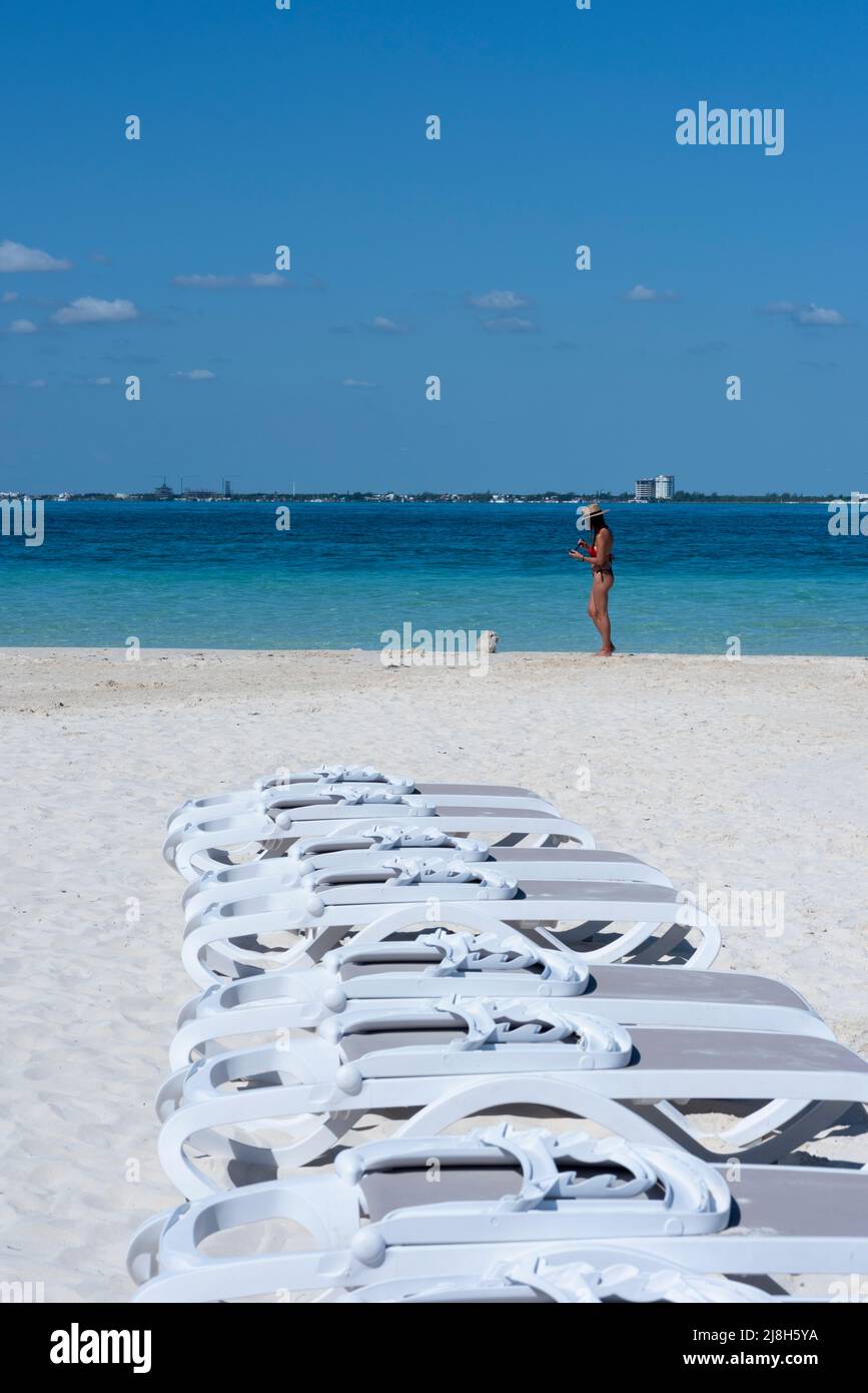 Lustiger Moment einer attraktiven jungen Frau und ihres Hundes am Strand von Isla Mujeres in Mexiko Stockfoto