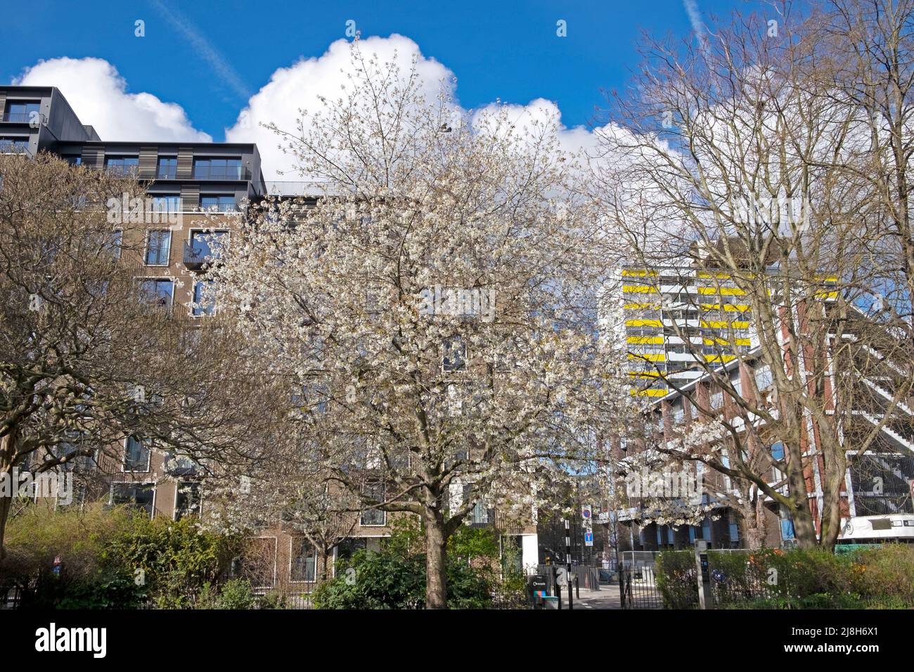 Blick auf die Wohnungen Denizen und Golden Lane Estate durch den Fortune Street Park blühende Bäume im Frühjahr April 2022 City of London UK KATHY DEWITT Stockfoto