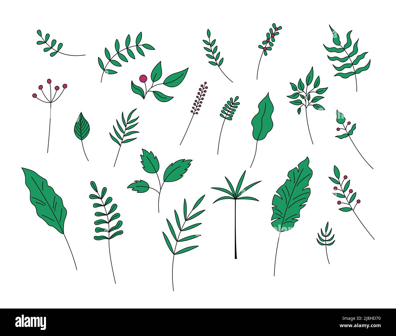 Blätter und Beeren isoliert. Vektor-Set von grünen Pflanzen dekorative Elemente auf weißem Hintergrund. Einfache handgezeichnete Blattobjekte. Stock Vektor