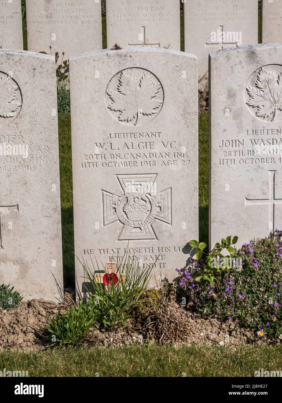 Dies ist der Niagara Friedhof des Ersten Weltkriegs und der WL [Wallace Lloyd] Algie, der für seine Aktionen während der Offensive vom 1918. Oktober ein Victoria-Kreuz erhielt Stockfoto