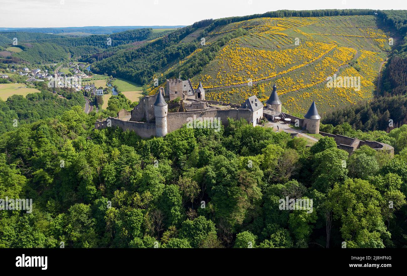 Schloss Bourscheid, mittelalterliche Burganlage in Bourscheid, Bezirk Diekirch, Ardennen, Luxemburg, Europa, Stockfoto