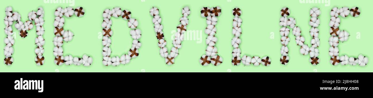 Das Wort medvilne aus der litauischen Sprache bedeutet Baumwolle aus Baumwollblumen. Konzept des organischen Rohstoffs. Stockfoto
