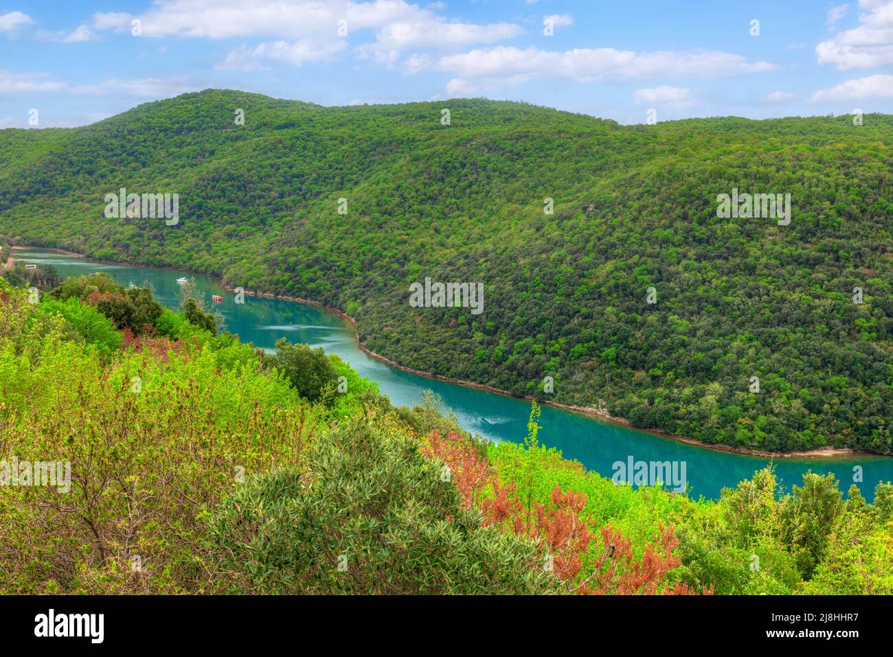 Lim-Kanal, Istrien, Kroatien, Europa Stockfoto