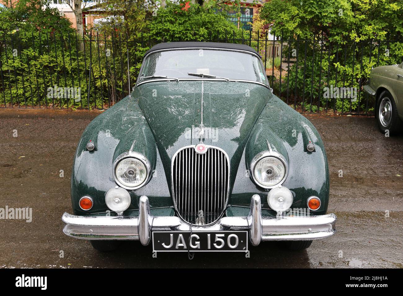 Jaguar XK150 Drophead Coupé (1960), Jaguar 100. Jahrestag, 15. Mai 2022, Brooklands Museum, Weybridge, Surrey, England, Großbritannien, Großbritannien, Europa Stockfoto