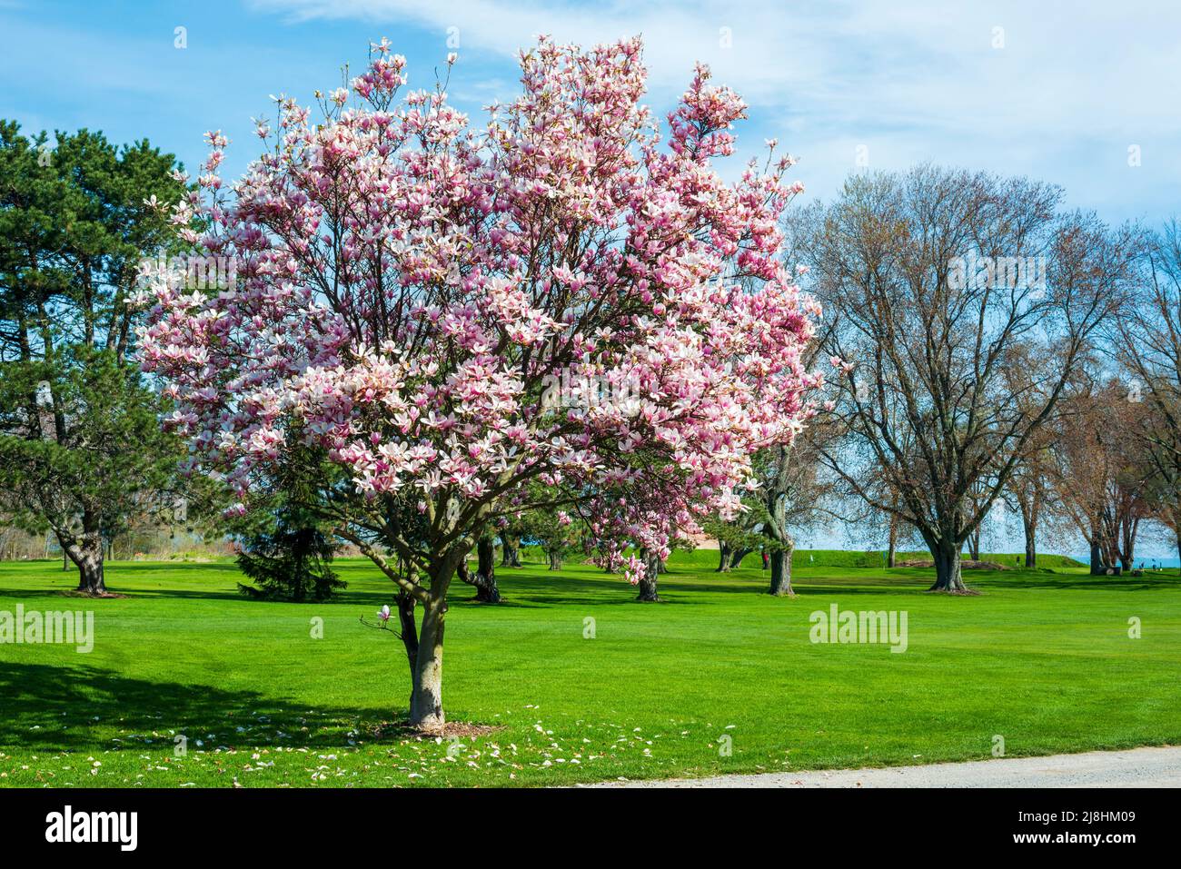 Niagara-on-the-Lake Golf Club. Niagara-on-the-Lake, Ontario, Kanada. Stockfoto