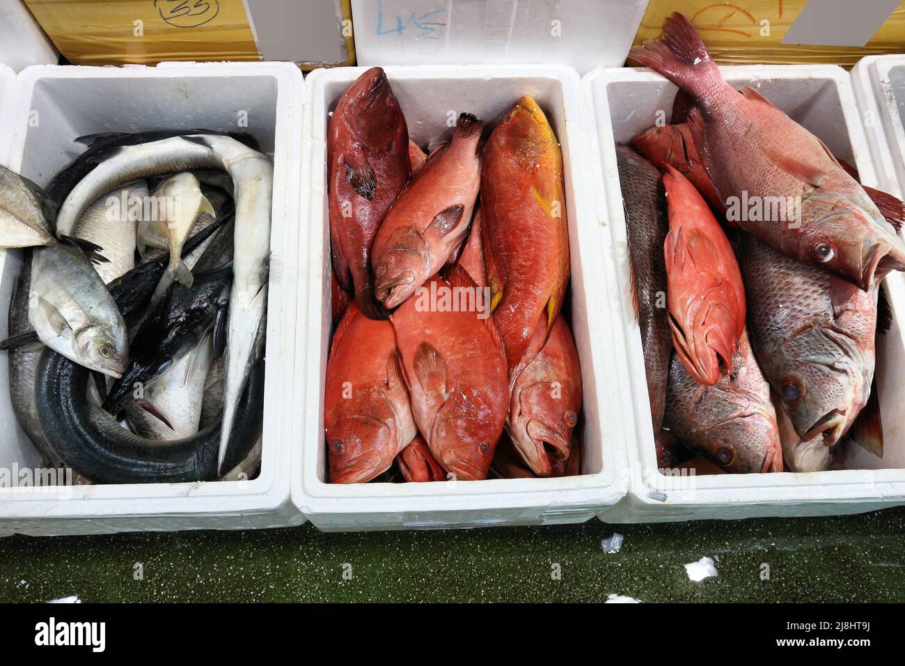 Billingsgate Fish Market in London, Großbritannien. Red Snapper und Seegarfisch. Stockfoto