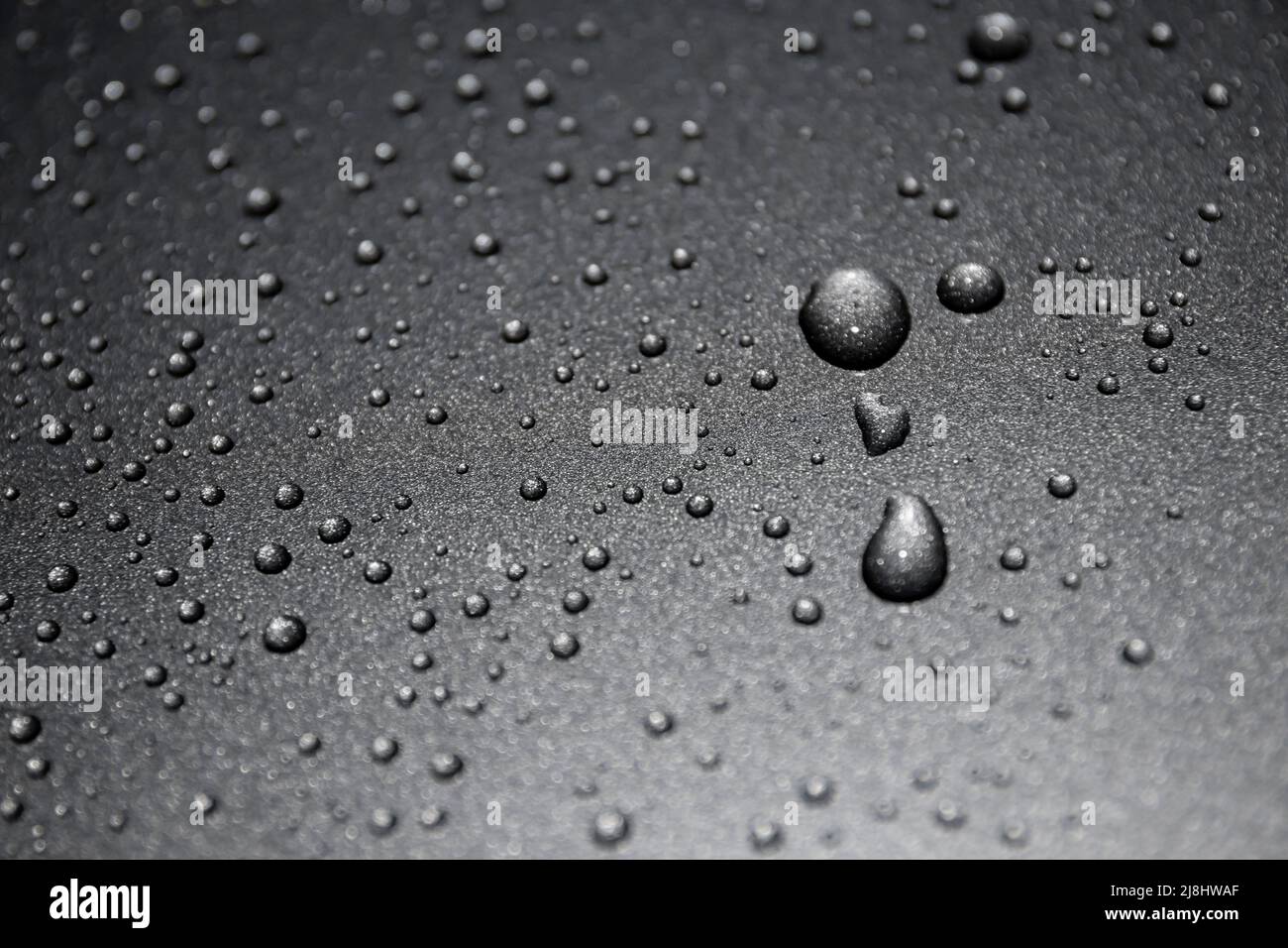 Wassertropfen auf schwarzem Hintergrund aus nächster Nähe Stockfoto