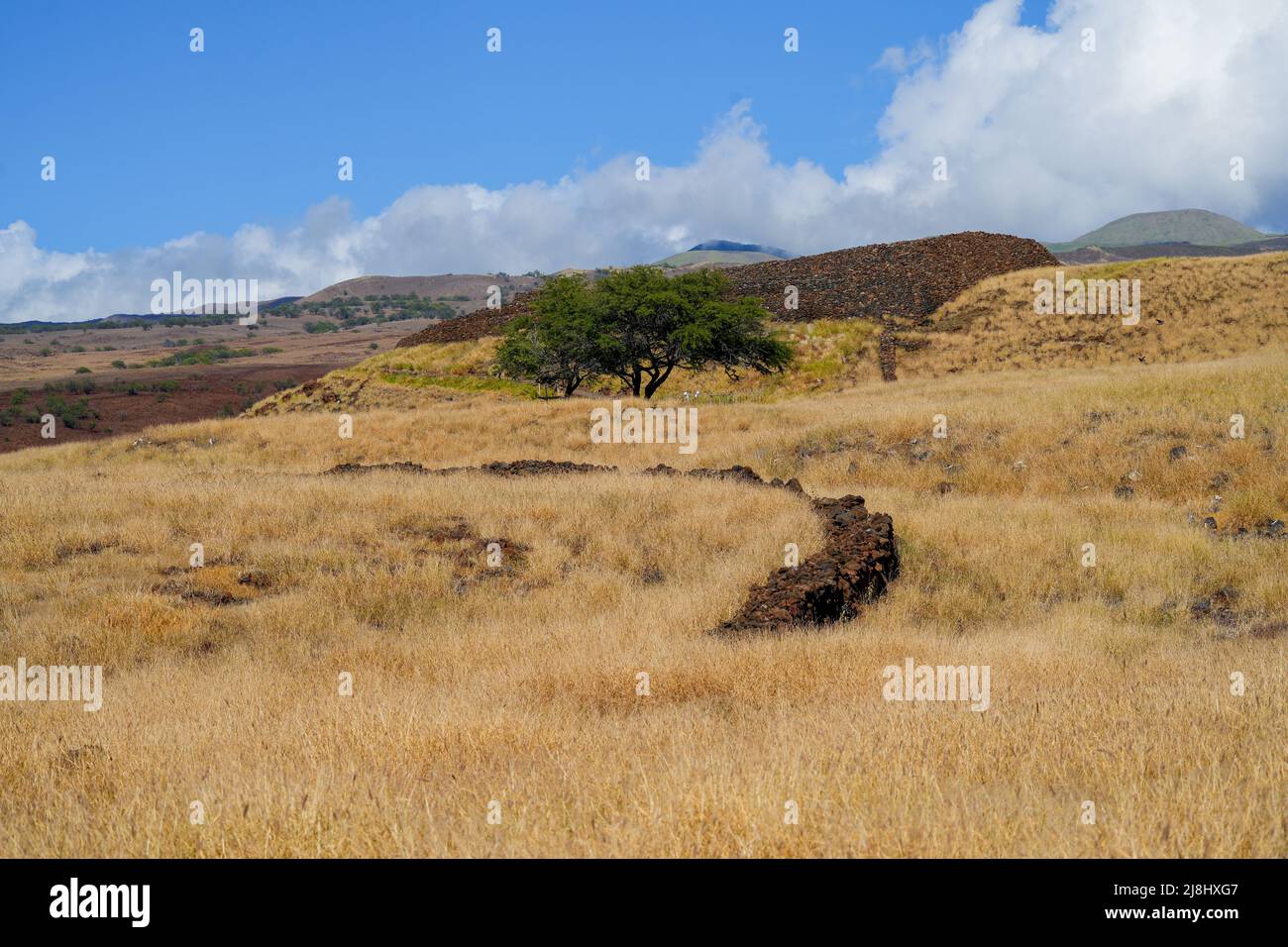 Ruinen eines hawaiianischen Tempels in der Nationalen Historischen Stätte Pu'ukohola Heiau auf der Big Island of Hawai'i im Pazifischen Ozean Stockfoto