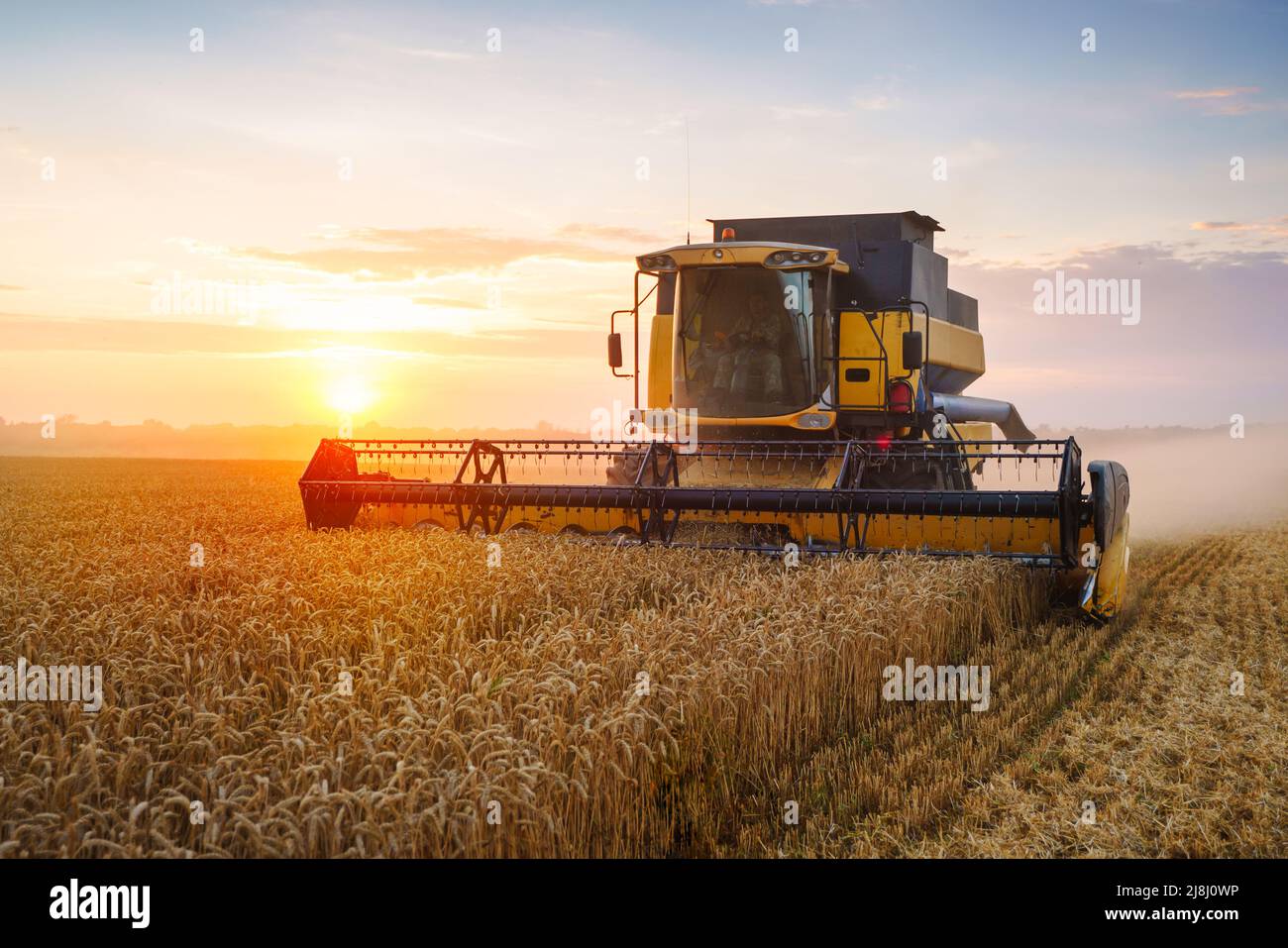 Mähdrescher ernten reifen Weizen. Reife Ähren gold Feld auf den Sonnenuntergang bewölkt orange Himmel Hintergrund. . Konzept für eine reiche Ernte. Landwirtschaft Stockfoto