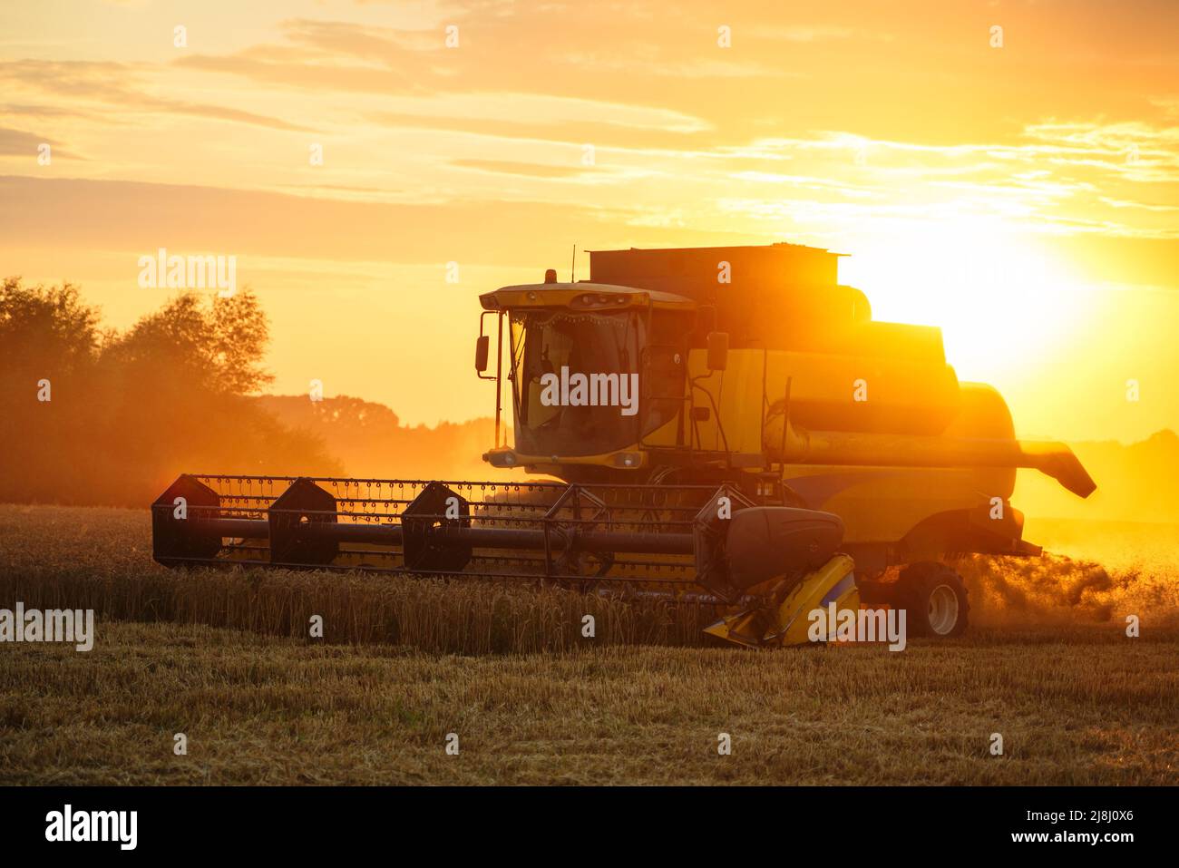 Mähdrescher ernten reifen Weizen. Reife Ähren gold Feld auf den Sonnenuntergang bewölkt orange Himmel Hintergrund. . Konzept für eine reiche Ernte. Landwirtschaft Stockfoto