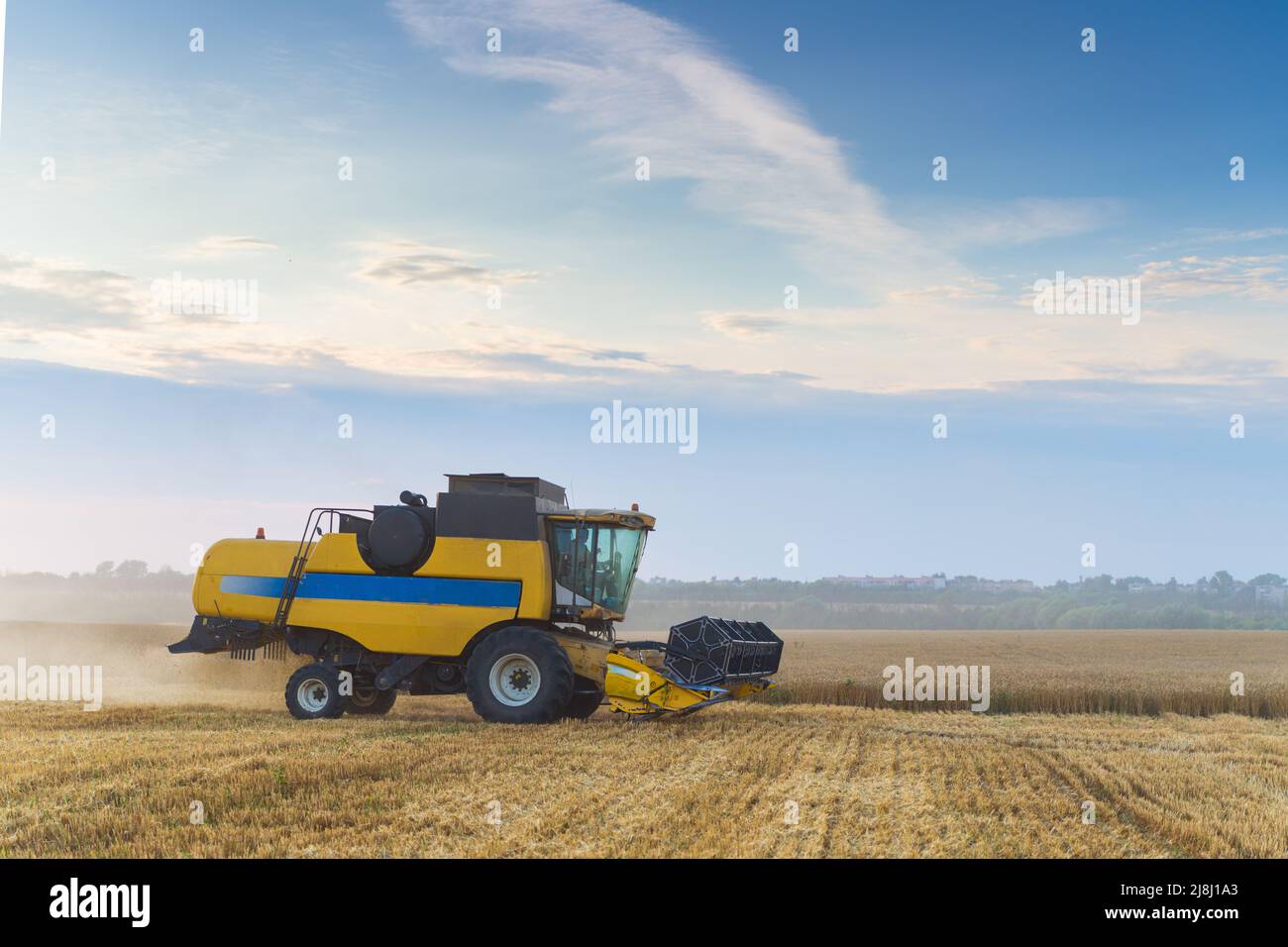 Mähdrescher ernten reifen Weizen. Reife Ähren gold Feld auf den Sonnenuntergang bewölkt orange Himmel Hintergrund. . Konzept für eine reiche Ernte. Landwirtschaft Stockfoto