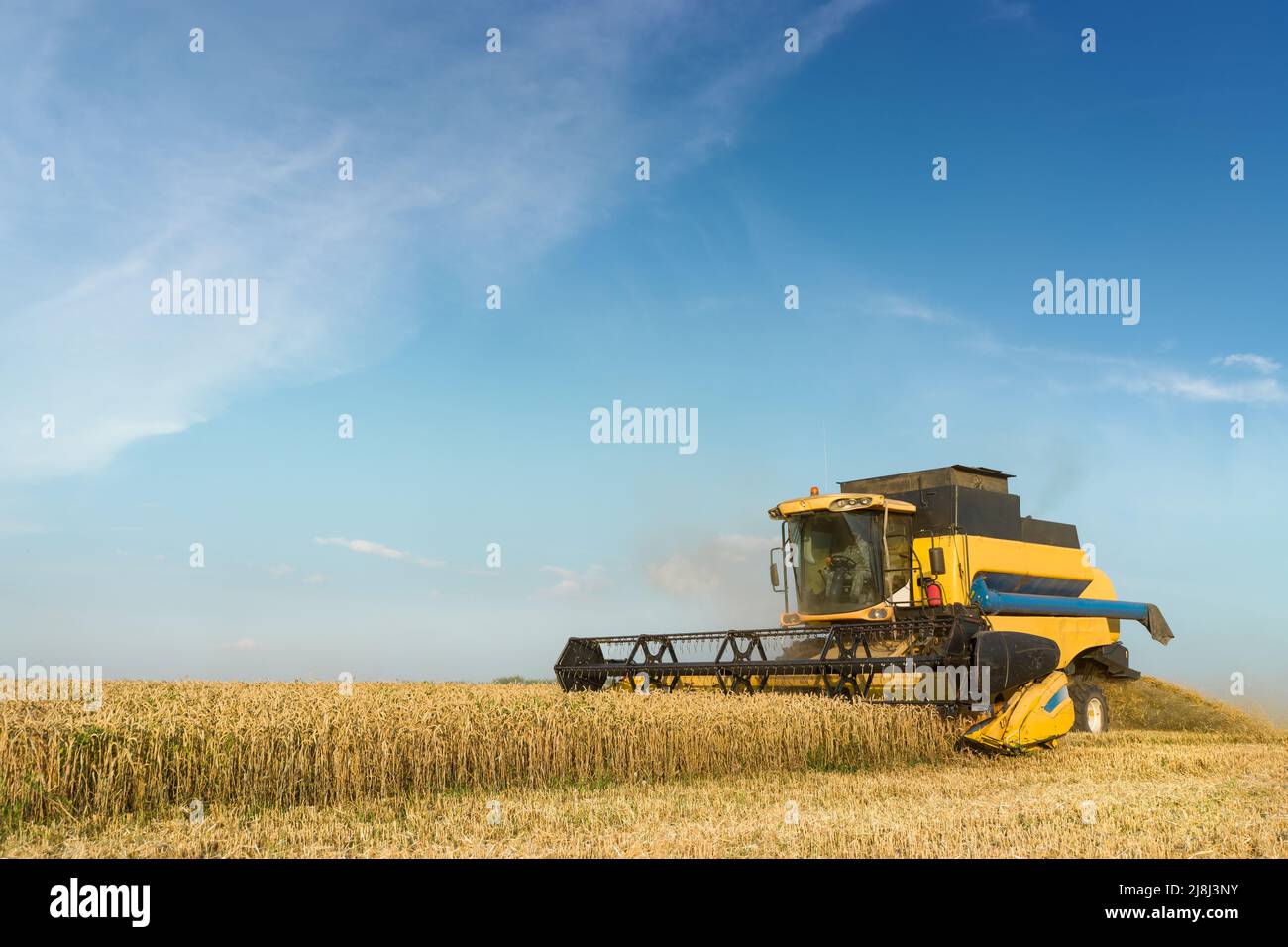 Mähdrescher ernten reifen Weizen. Reife Ähren gold Feld auf den Sonnenuntergang bewölkt orange Himmel Hintergrund. . Konzept für eine reiche Ernte. Landwirtschaft Stockfoto