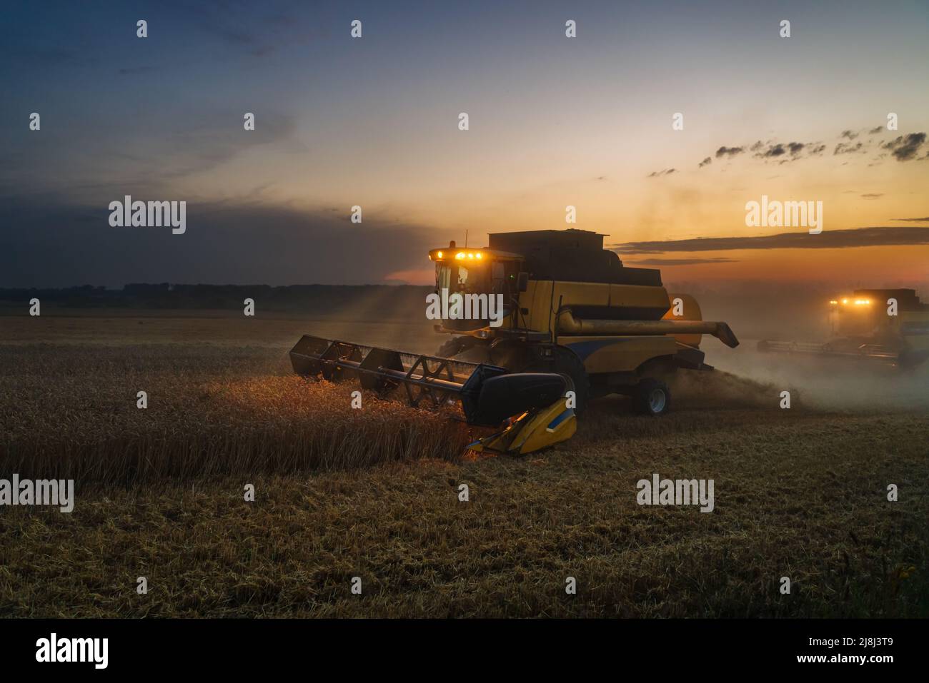 Mähdrescher ernten reifen Weizen. Reife Ähren gold Feld auf den Sonnenuntergang bewölkt orange Himmel Hintergrund. . Konzept für eine reiche Ernte. Landwirtschaft Stockfoto