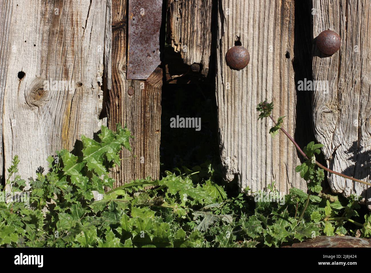 Detail der alten Tür in Ruinen Dorf Stockfoto