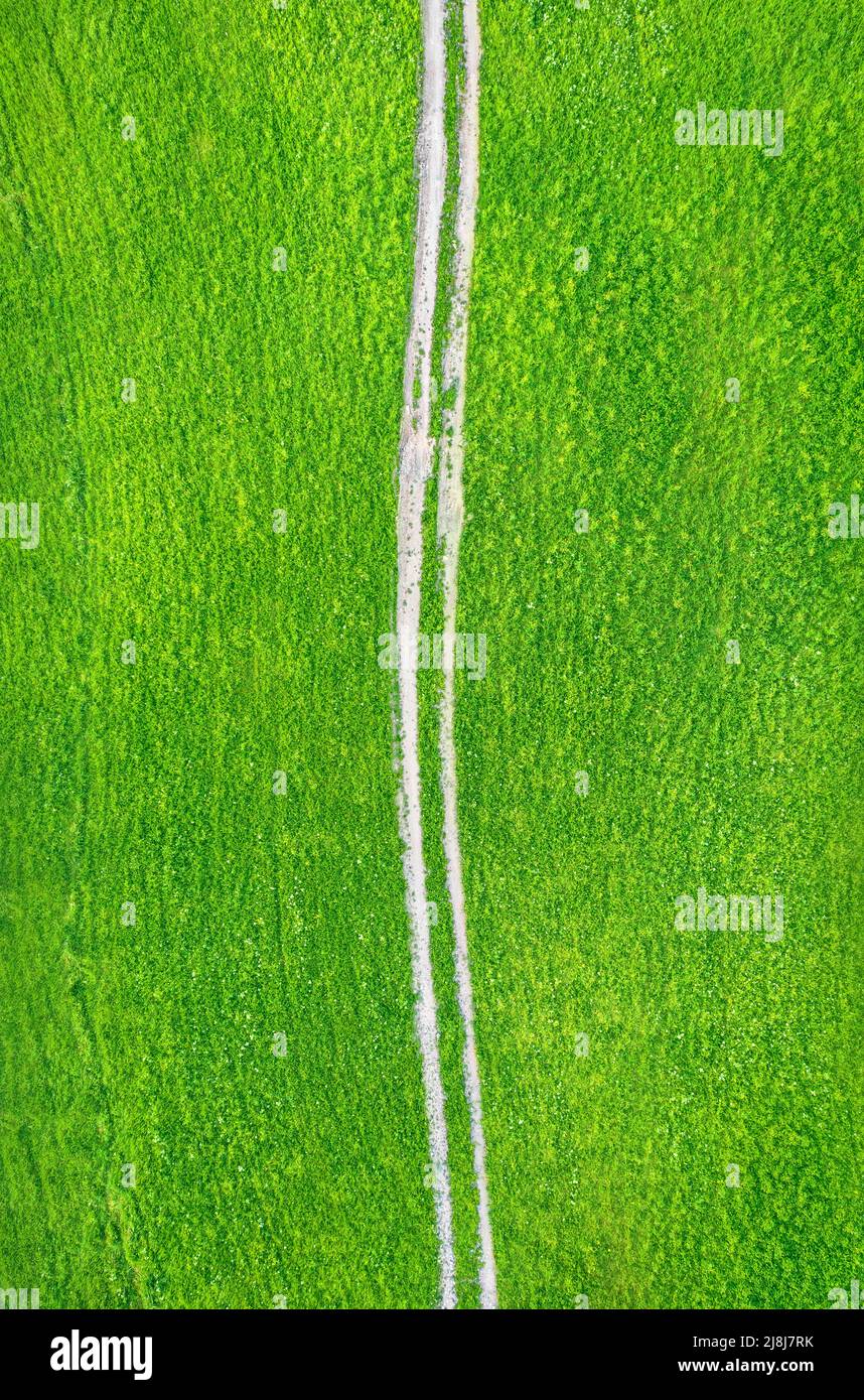 Unbefestigte Landstraße über grünes Feld, Drohnenblick von direkt oben Stockfoto