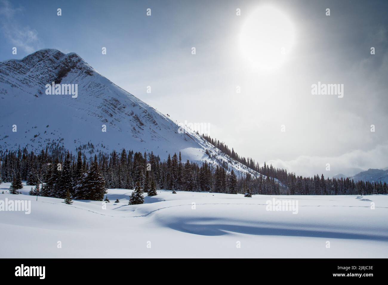 Ein Schneeschuhwanderweg in Kananaskis, Peter Lougheed Provincial Park, Alberta, Kanada Stockfoto