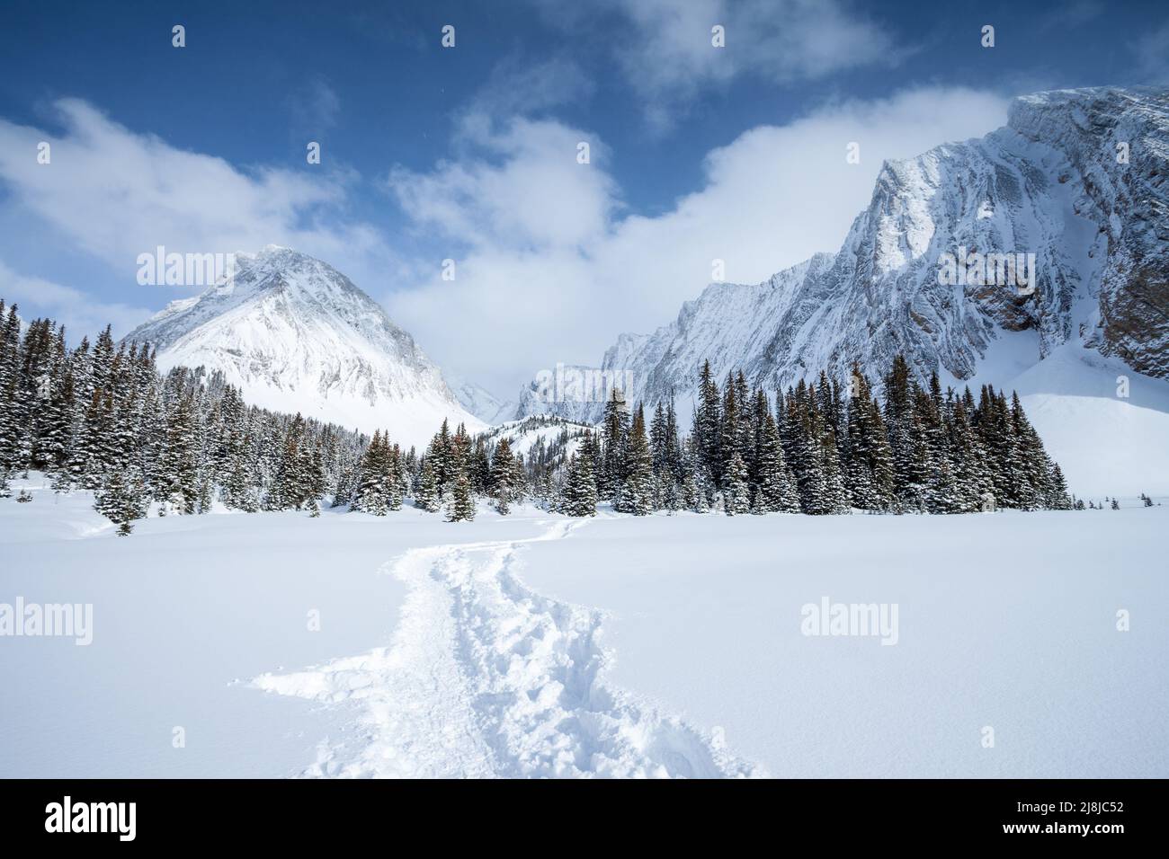 Eine Schneeschuhwanderung zum Mount Chester im Winter, Peter Lougheed Provicial Park, Alberta, Kanada Stockfoto