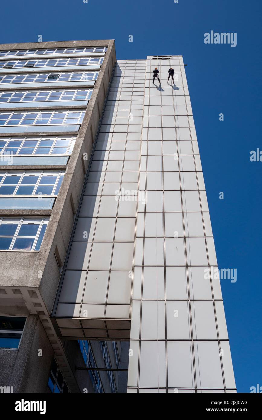 Zwei Personen, die sich aus wohltätigen Zwecken im hohen Hauptturm des Southend University Hospital abseilen. Hohes Abseilen. Blauer Himmel Stockfoto
