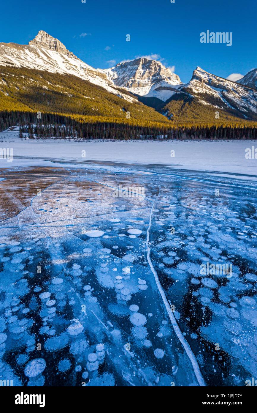 Eis-Bläschen auf den Seen Spray Spray Valley Provincial Park, Alberta, Kanada Stockfoto