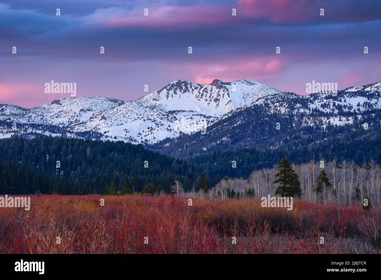 Mt Jefferson, der höchste Gipfel der Centennial Mountain Range, ist schneebedeckt. Sonnenuntergang. Island Park, Fremont County, Idaho, USA Stockfoto