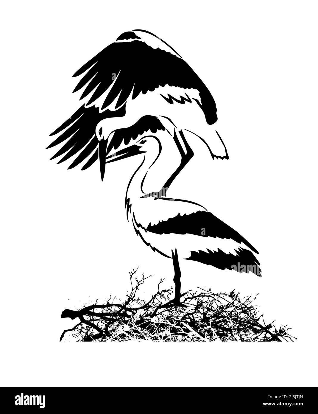 Vektorhintergrund mit einer Grafik monochrome Zeichnungen von Störchenpaaren im Nest Stock Vektor