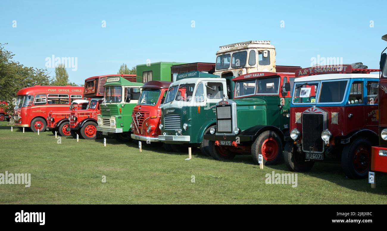 Steam Fair Fahrzeugdisplays Reihe von Oldtimer-Transportfahrzeugen Stockfoto