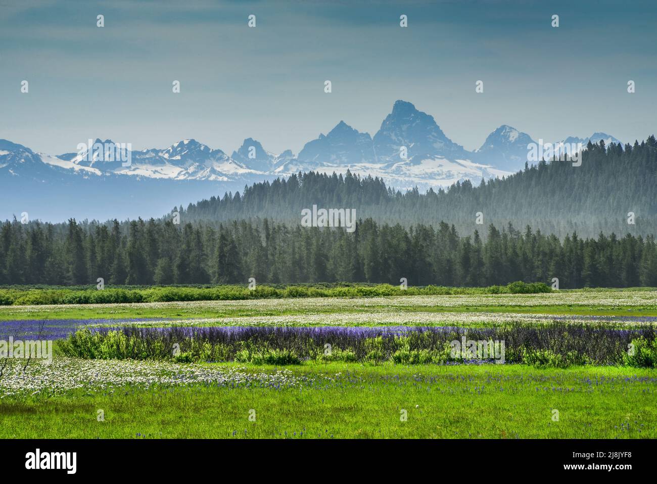 Die Westseite des Teton reicht vom Warm River im Island Park, Fremont County, Idaho, USA Stockfoto